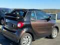 smart forTwo fortwo cabrio electric drive / EQ Marrón - thumbnail 5