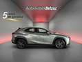 Lexus UX 250h Eco 2WD Gris - thumbnail 24