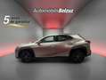 Lexus UX 250h Eco 2WD Gris - thumbnail 25