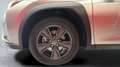 Lexus UX 250h Eco 2WD Gris - thumbnail 20