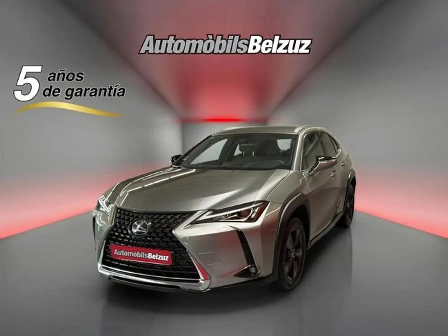 Lexus UX 250h Eco 2WD Gris - 1