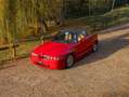 Alfa Romeo SZ Rot - thumbnail 9