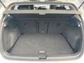 Volkswagen Golf VIII 1.5 TSI GOAL Navi, AHK, LED plus, Allw Weiß - thumbnail 15