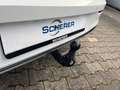 Volkswagen Golf VIII 1.5 TSI GOAL Navi, AHK, LED plus, Allw Weiß - thumbnail 16