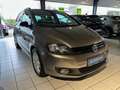 Volkswagen Golf Plus VI Match//KLIMA/GARANTIE/ALU/PDC// Marrone - thumbnail 4
