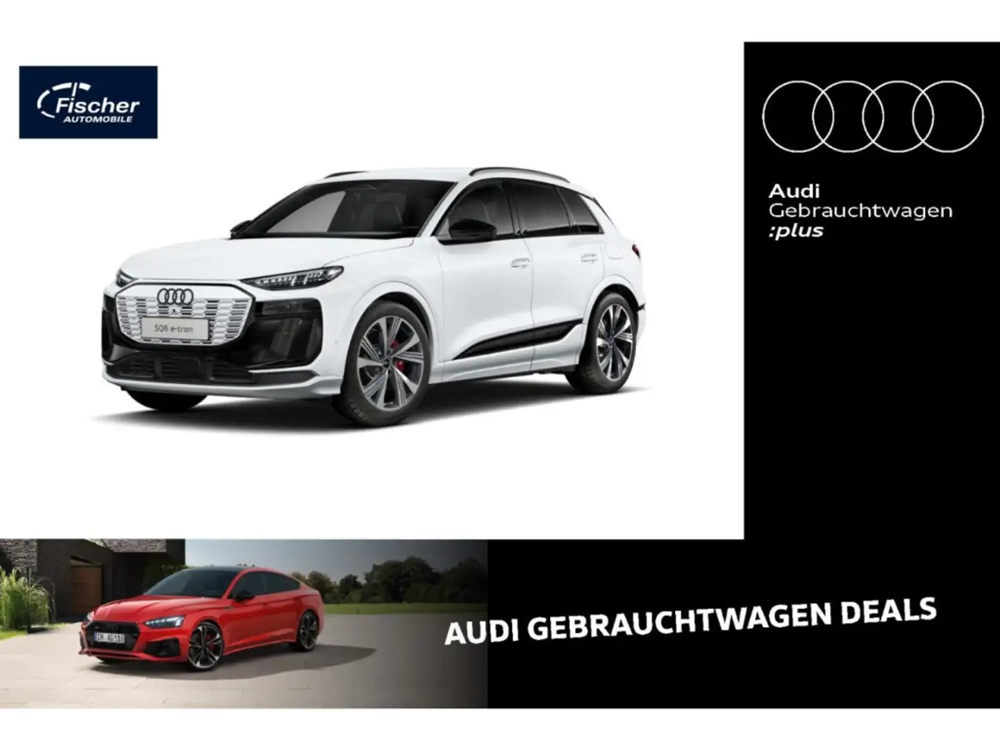 Audi Q3 SQ6 AHK/Bei.Dis./21''/B&O/HUD/360 Weiß - 1