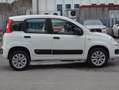 Fiat Panda 0.9 t.air t. Easy s Wit - thumbnail 4