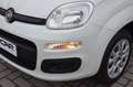 Fiat Panda 0.9 t.air t. Easy s Wit - thumbnail 25