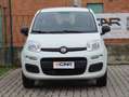 Fiat Panda 0.9 t.air t. Easy s Wit - thumbnail 18