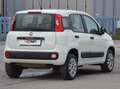 Fiat Panda 0.9 t.air t. Easy s Wit - thumbnail 3