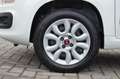 Fiat Panda 0.9 t.air t. Easy s Wit - thumbnail 6