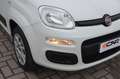 Fiat Panda 0.9 t.air t. Easy s Wit - thumbnail 24