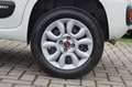 Fiat Panda 0.9 t.air t. Easy s Wit - thumbnail 21