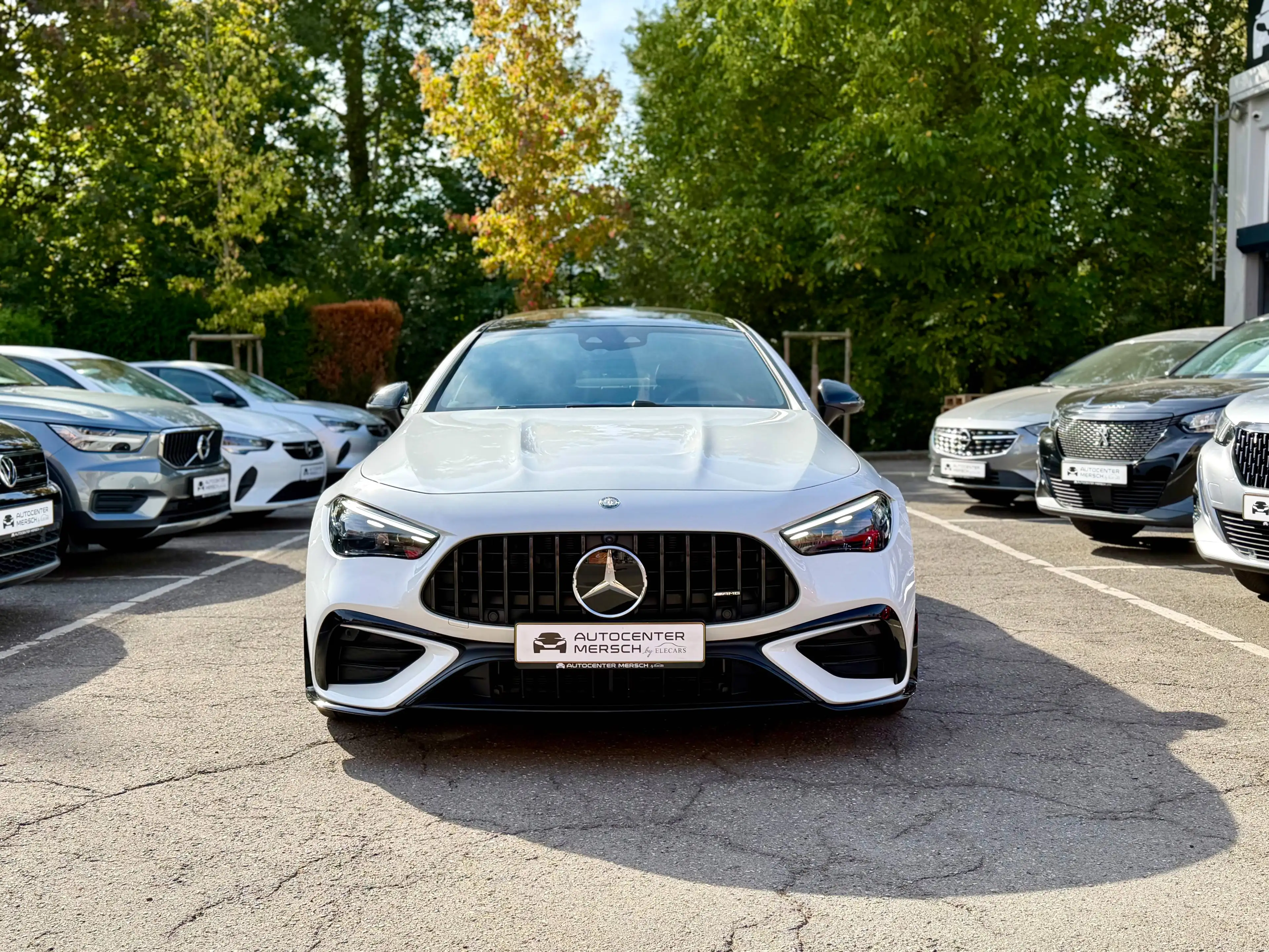 Mercedes-Benz CLE 53 AMG AMG CLE 53 4Matic Premium Plus (236.362) — photo 2