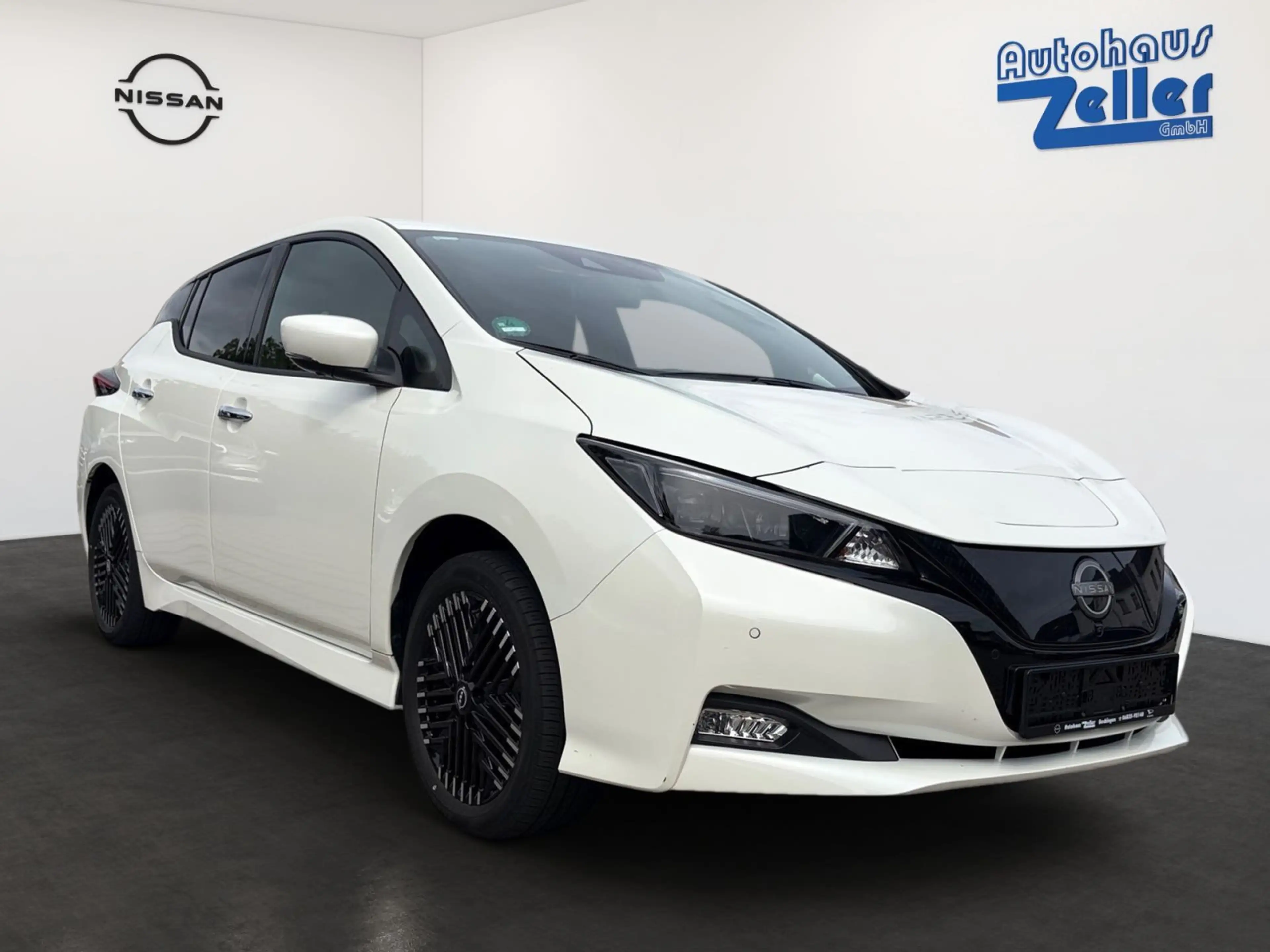 Nissan Leaf e+ Tekna — photo 3