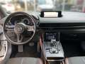Mazda MX-30 Ad'vantage Kamera, Sitzhzng, Klima Weiß - thumbnail 10