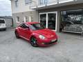 Volkswagen Beetle 1,6 TDI Design *1.BESITZ*SITZH*TEMP*VW-HISTORIE* Rot - thumbnail 1