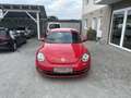 Volkswagen Beetle 1,6 TDI Design *1.BESITZ*SITZH*TEMP*VW-HISTORIE* Rot - thumbnail 2