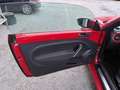 Volkswagen Beetle 1,6 TDI Design *1.BESITZ*SITZH*TEMP*VW-HISTORIE* Rot - thumbnail 11