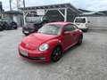 Volkswagen Beetle 1,6 TDI Design *1.BESITZ*SITZH*TEMP*VW-HISTORIE* Rot - thumbnail 3