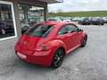 Volkswagen Beetle 1,6 TDI Design *1.BESITZ*SITZH*TEMP*VW-HISTORIE* Rot - thumbnail 6