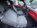 Volkswagen Beetle 1,6 TDI Design *1.BESITZ*SITZH*TEMP*VW-HISTORIE* Rot - thumbnail 18