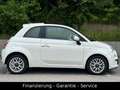 Fiat 500 1.2 Lounge AUTOMATIK/1 HAND/PANO/KLIMA/ALU Wit - thumbnail 8