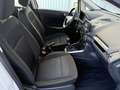 Ford EcoSport Trend Blanc - thumbnail 13