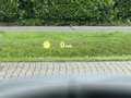 BMW X5 xDrive30d High Executive M-Pakket/Panoramadak/Crui Black - thumbnail 13
