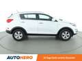Kia Sportage 1.6 GDI Edition 7 2WD *TEMPO*PDC*SHZ* Weiß - thumbnail 7