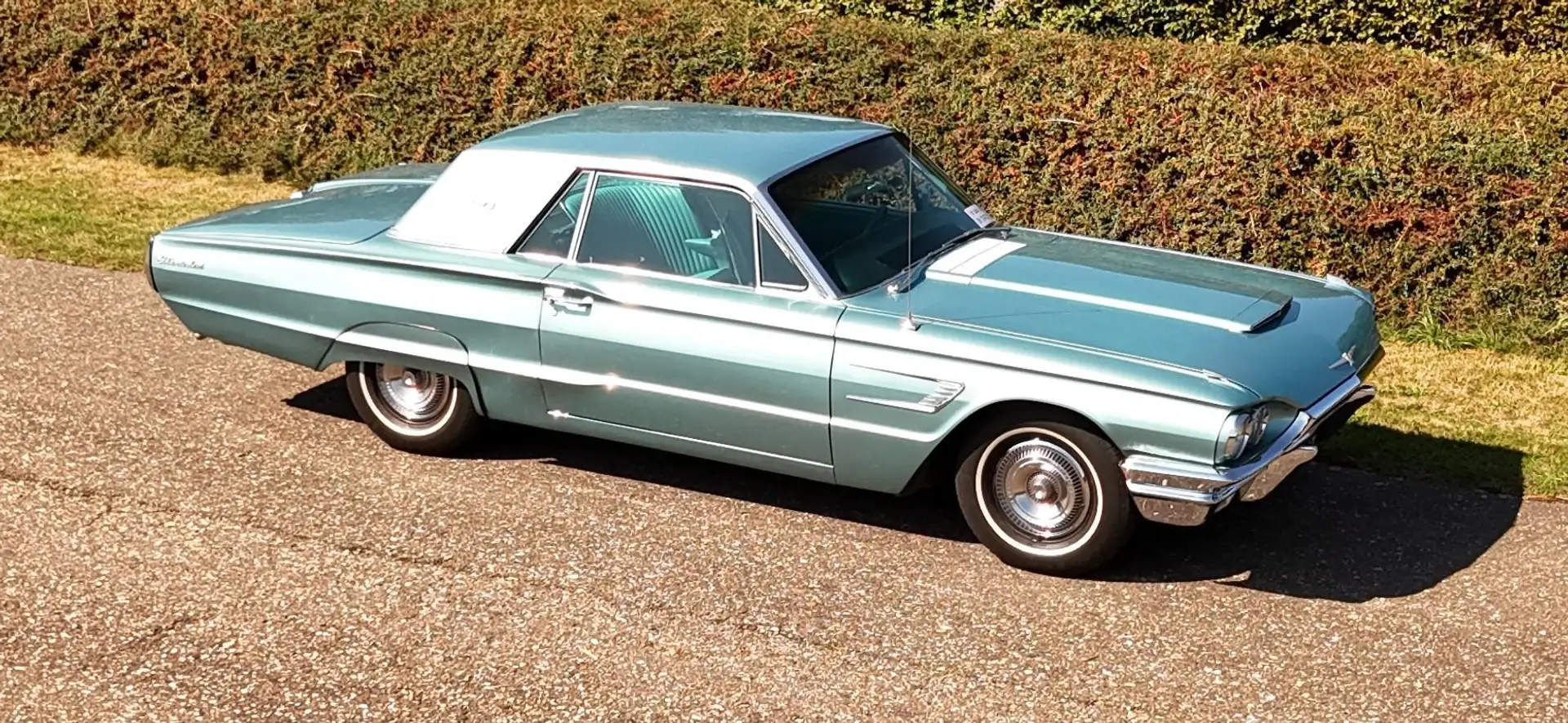 Ford Thunderbird Groen - 1