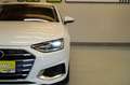 Audi A4 AV 35 TDI S-tr. ACC*VIRT*LED*SHZ*PDC Weiß - thumbnail 10