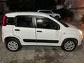 Fiat Panda 0.9 t.air t. natural power Pop 80cv Bianco - thumbnail 8