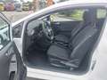 Ford Fiesta Trend 1.1 Klima Shz Spur Temp Alu Bianco - thumbnail 13