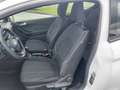 Ford Fiesta Trend 1.1 Klima Shz Spur Temp Alu Bianco - thumbnail 14