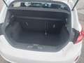 Ford Fiesta Trend 1.1 Klima Shz Spur Temp Alu Bianco - thumbnail 10