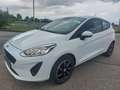Ford Fiesta Trend 1.1 Klima Shz Spur Temp Alu Bianco - thumbnail 2