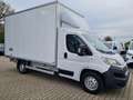 Fiat Ducato 35 Koffer 150 maxi Multijet Klima Klima Weiß - thumbnail 3