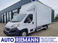 Fiat Ducato 35 Koffer 150 maxi Multijet Klima Klima Weiß - thumbnail 1