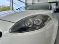 Fiat Bravo - Distribuzione Eseguita Blanc - thumbnail 17