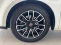 Fiat Bravo - Distribuzione Eseguita Blanc - thumbnail 18