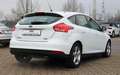 Ford Focus 1.5/VOLL SHEFT/BI XENON/NAVI/SHZ/PDC/BT/ Bianco - thumbnail 4