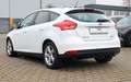 Ford Focus 1.5/VOLL SHEFT/BI XENON/NAVI/SHZ/PDC/BT/ Bianco - thumbnail 6