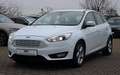 Ford Focus 1.5/VOLL SHEFT/BI XENON/NAVI/SHZ/PDC/BT/ Bianco - thumbnail 1