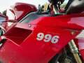 Ducati 996 Biposto Rouge - thumbnail 11