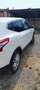 Nissan Qashqai 1.5 dci Acenta 110cv - thumbnail 5