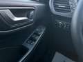 Ford Kuga 1.5 EcoBlue 120 Aut. ST-Line X Gris - thumbnail 20