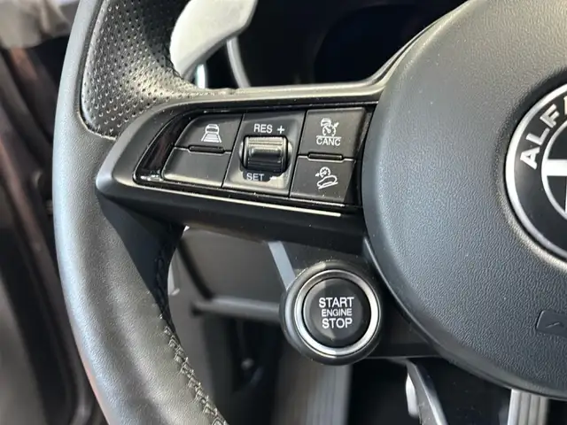 Alfa Romeo Stelvio view 15