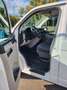 Volkswagen T6 Transporter Kasten 1 Hand Navi AHK Heckklappe Weiß - thumbnail 14