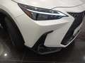 Lexus NX 350h Business City 4WD Blanco - thumbnail 4
